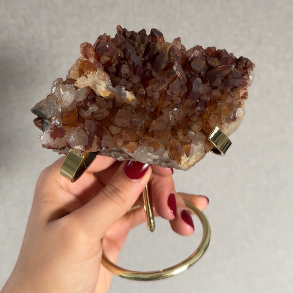 Tangerinekwarts op voet